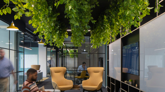 Company Office Image